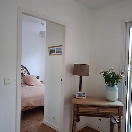 Maison Au Calme Au Cap Ferret Petit Piquey Hébergement de vacances